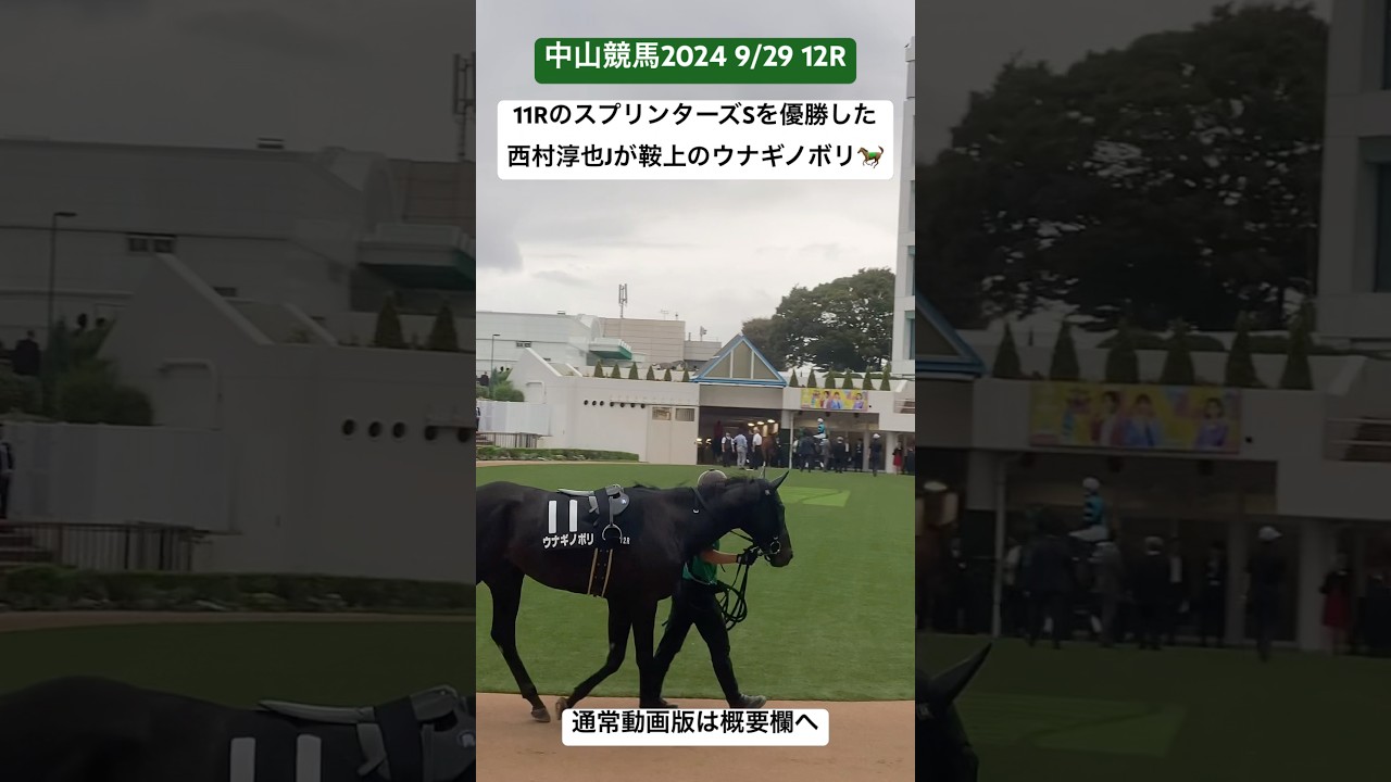 11RのスプリンターズSを優勝した西村淳也Jが鞍上のウナギノボリ🐎　#ウナギノボリ  #うなぎ　#鰻登り