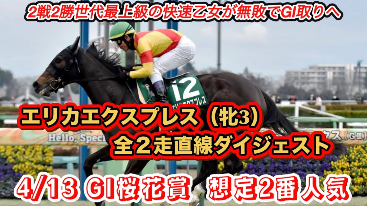 【エリカエクスプレス】GI桜花賞想定2番人気！全2走直線ダイジェスト