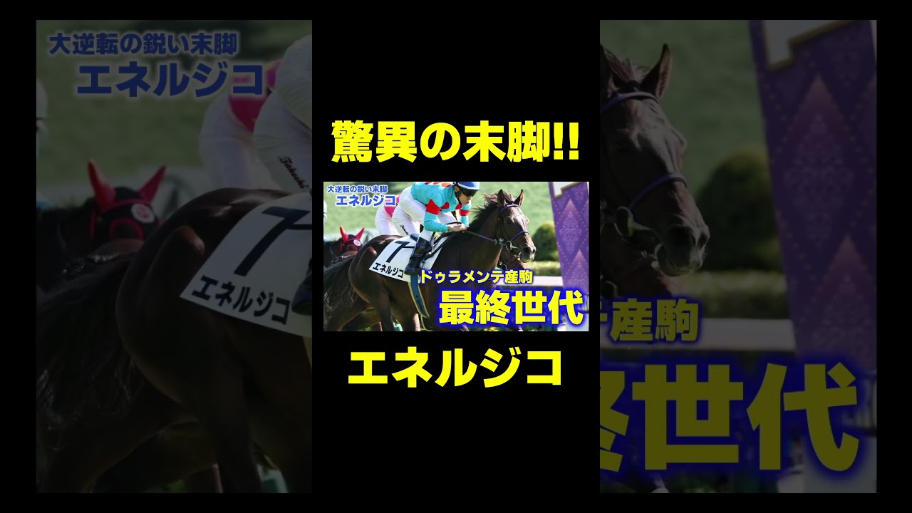 大逆転の鋭い末脚!! エネルジコ　#競馬 #競馬予想 #ジャパンカップ
