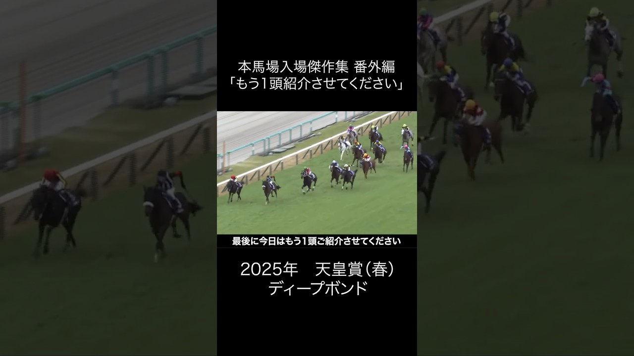 本馬場入場傑作集 番外編