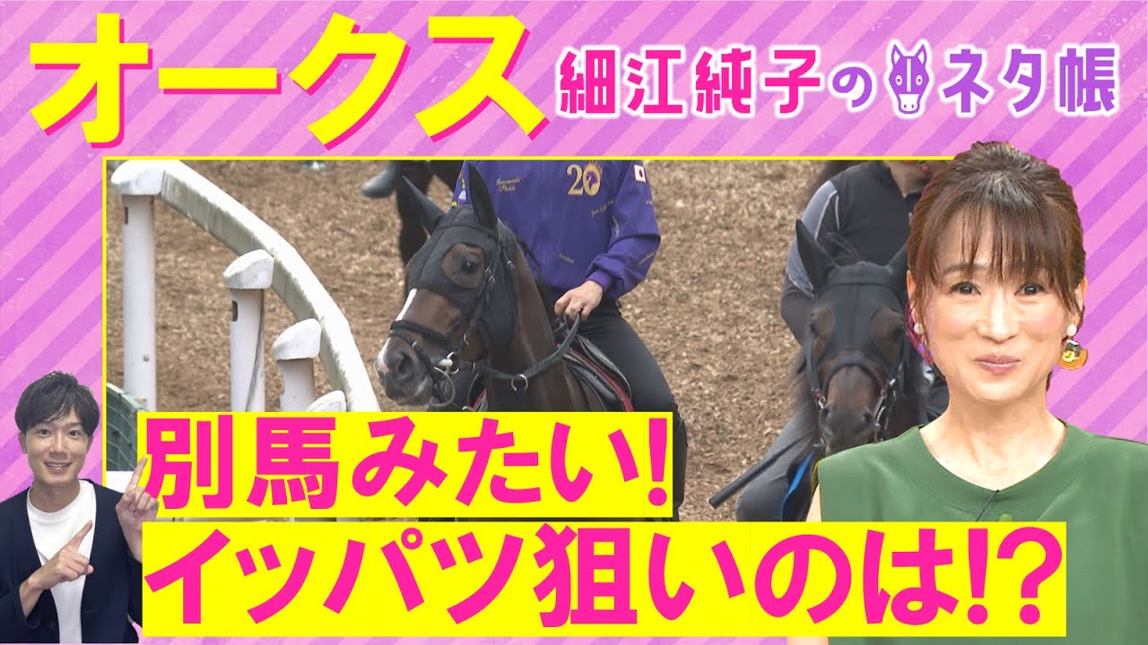 「桜花賞より確実に良くなってる！」エンブロイダリー、アルマヴェローチェ、リンクスティップ・・・オークス(ＧⅠ)を元ジョッキーの細江純子さんが解説！＜細江純子のネタ帳＞