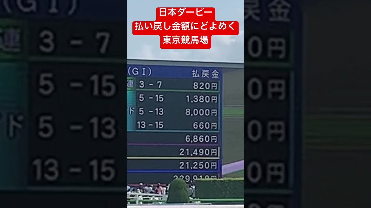 日本ダービーの払い戻し金額にどよめく東京競馬場 ダノンデサイルと横山典弘 #日本ダービー2024  #日本ダービー