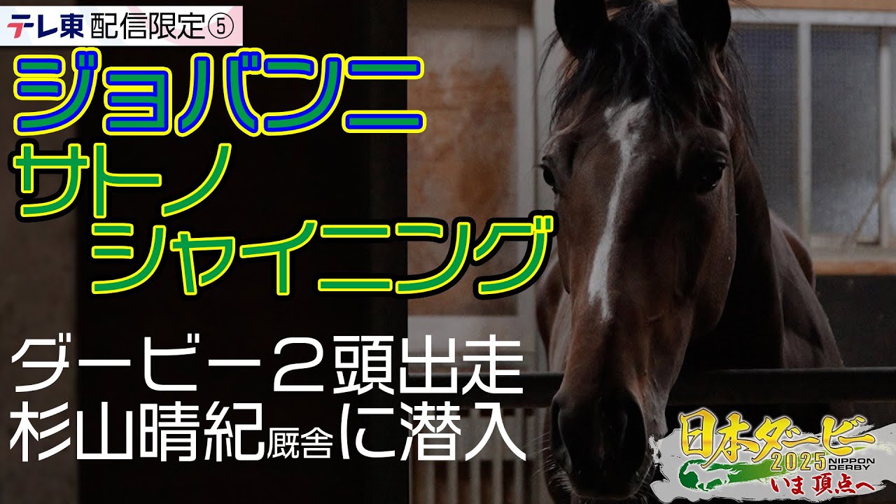 【配信限定】リーディング独走中！杉山晴紀厩舎が日本ダービーに送り出す2頭の素顔！｜日本ダービー2025 いま頂点へ