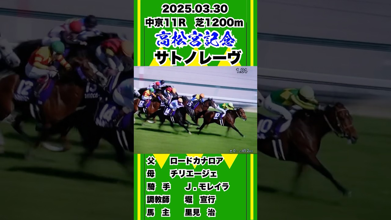 サトノレーヴ【高松宮記念2025】