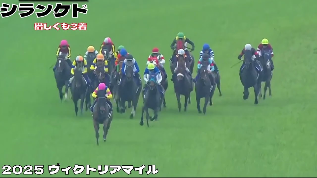 【ヴィクトリアマイル2025】シランケドが一番強かったと思います。知らんけど