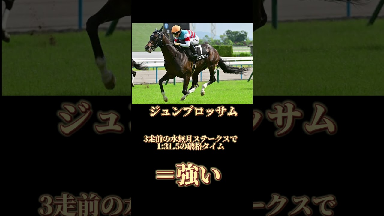 #競馬 #マイルチャンピオンシップ #ブレイディヴェーグ