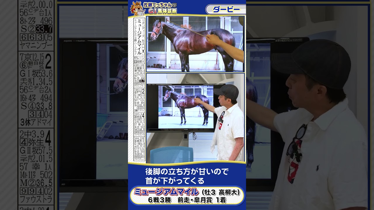 【2025年 ダービー】皐月賞馬ミュージアムマイルの馬体診断　 #shorts #競馬 #予想