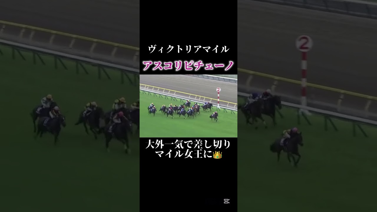 【競馬】ヴィクトリアマイルにてアスコリピチェーノが大外一気で見事マイル女王に！👑 #競馬 #ヴィクトリアマイル #アスコリピチェーノ #東京競馬場 #ルメール #horse #shorts