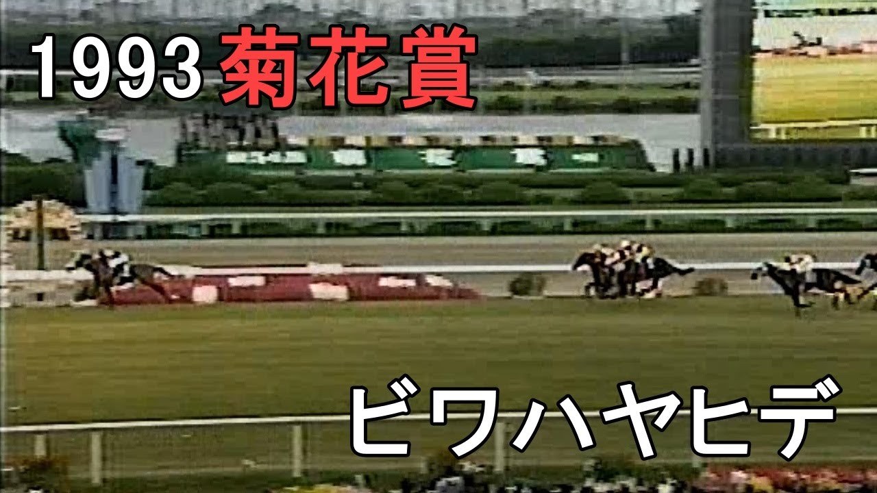 ビワハヤヒデ 1993年(平成5年)第54回菊花賞(G1)
