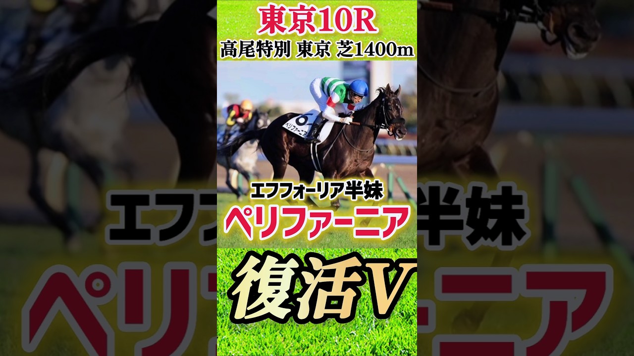 【東京10R 2勝クラス 高尾特別 ペリファーニア復活V】桜花賞3着馬1年ぶりの勝利！#競馬 #中央競馬 #東京競馬場  #ペリーファーニア #馬 #horse #short #shorts #復活