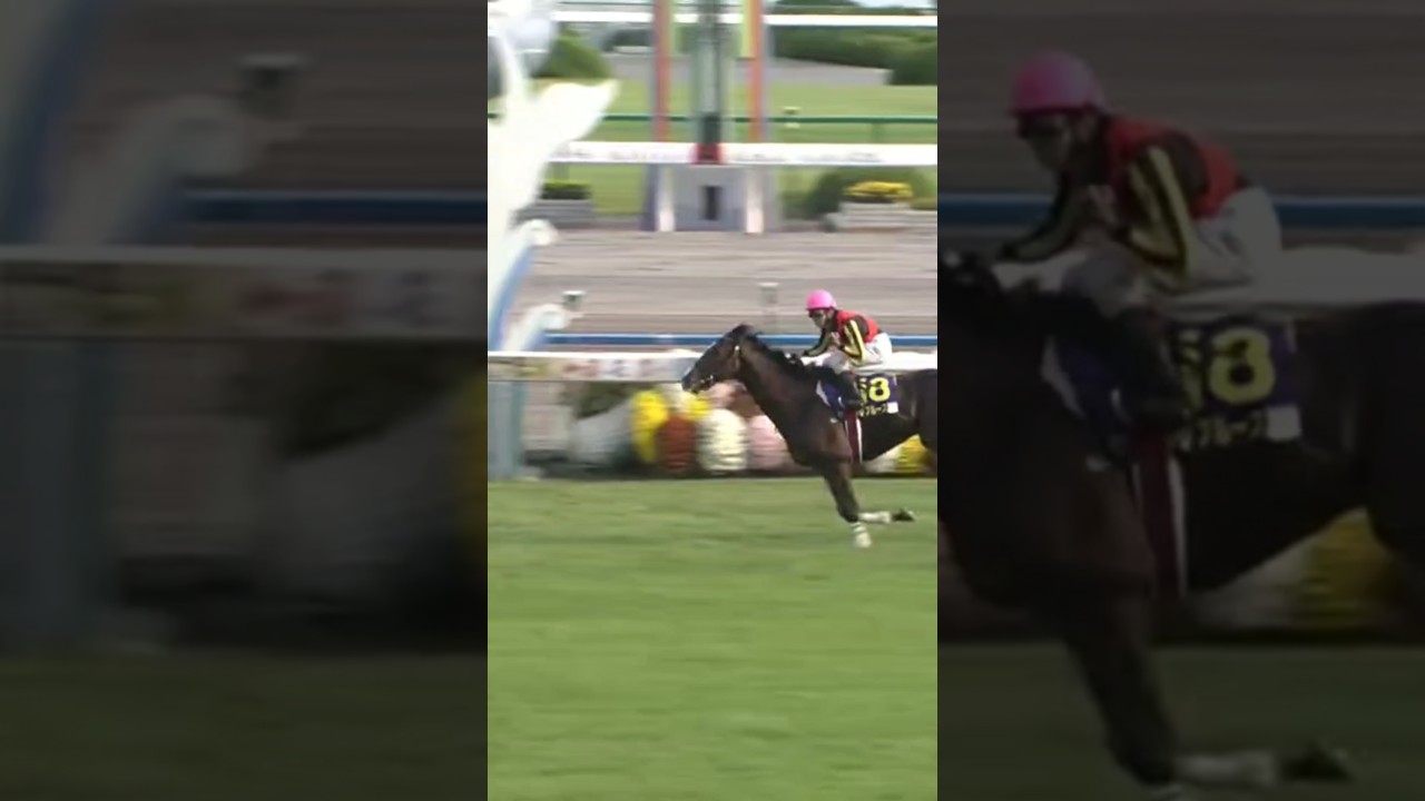 #shorts 2004 菊花賞 #デルタブルース #岩田康誠