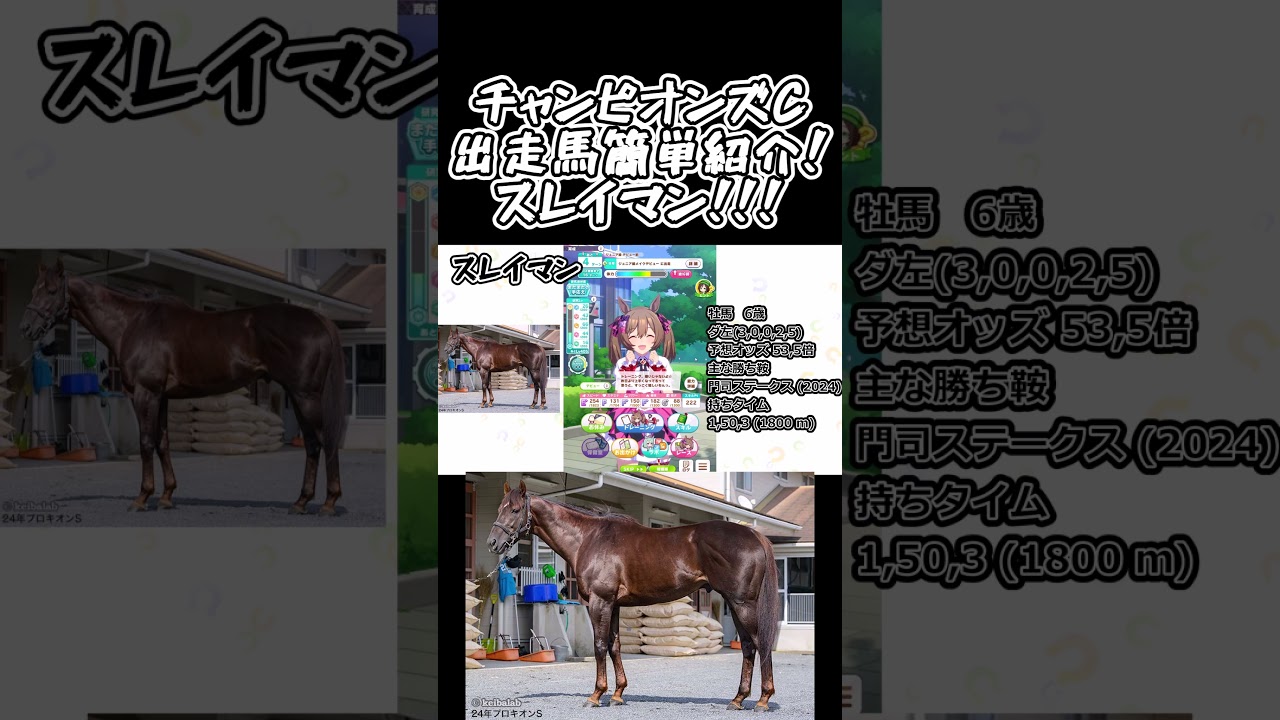 チャンピオンズC出走馬簡単紹介！スレイマン！！！#競馬解説 #競馬 #チャンピオンズカップ #shorts