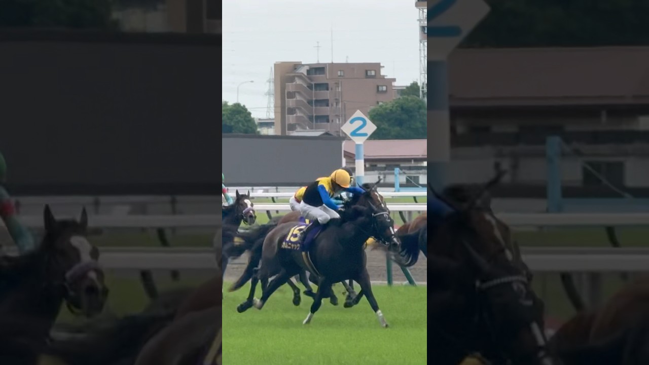 【現地映像】優駿牝馬・オークス2025 カムニャックとシュタルケ騎手 最後の直線