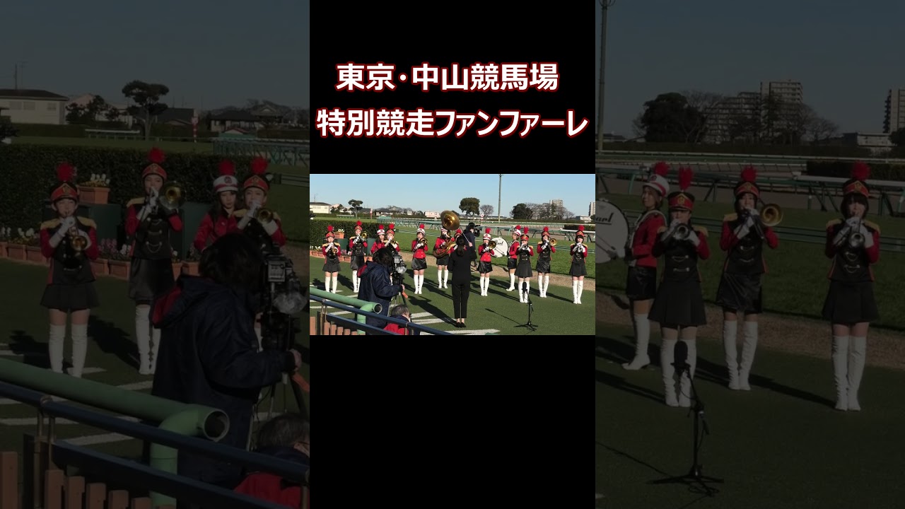 【高音質】東京・中山競馬場 特別競走ファンファーレ生演奏 #競馬ファンファーレ #東京トゥインクルファンファーレ #shorts