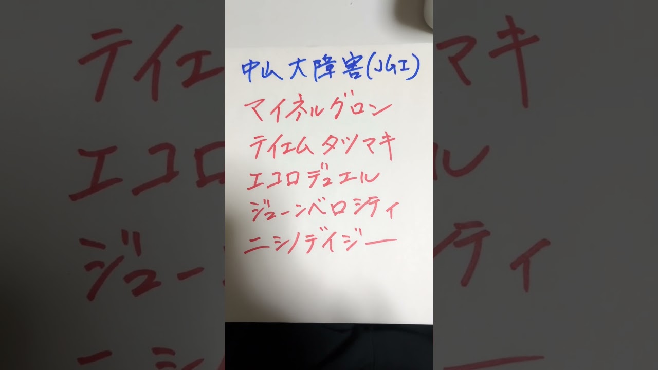 中山大障害2024