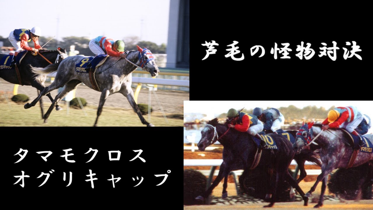 【ライバル】芦毛の怪物対決