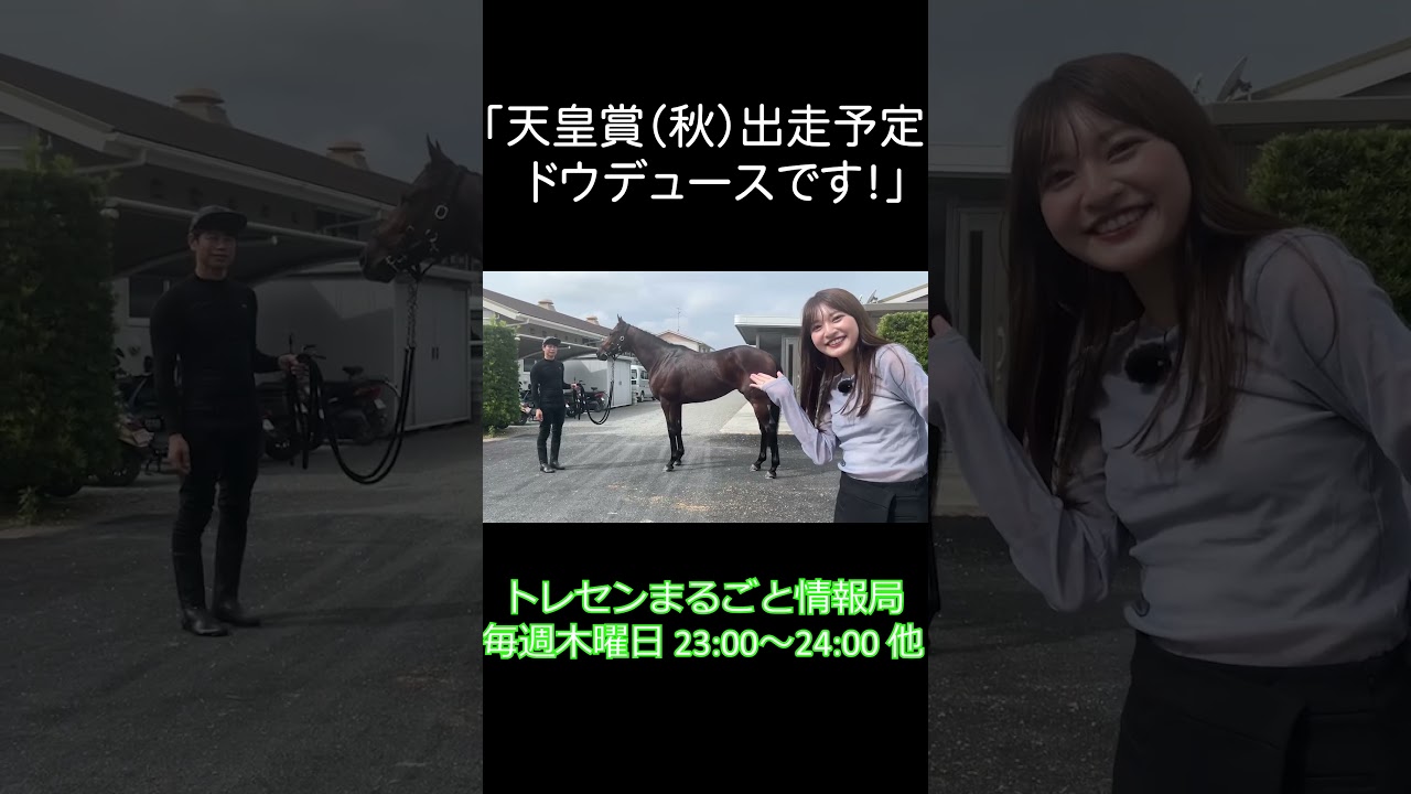 天皇賞（秋）出走予定 ドウデュース #ドウデュース #芥田愛菜美 #トレセンまるごと情報局 #グリーンチャンネル #競馬 #shorts