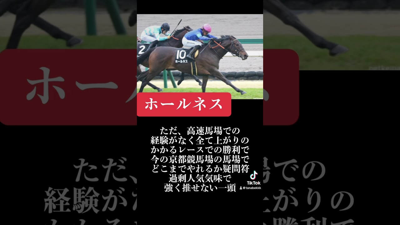 #競馬予想家 #競馬 #エリザベス女王杯2024 #ホールネス