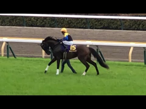 2025 優駿牝馬 オークス 本馬場入場・返し馬 カムニャック 他