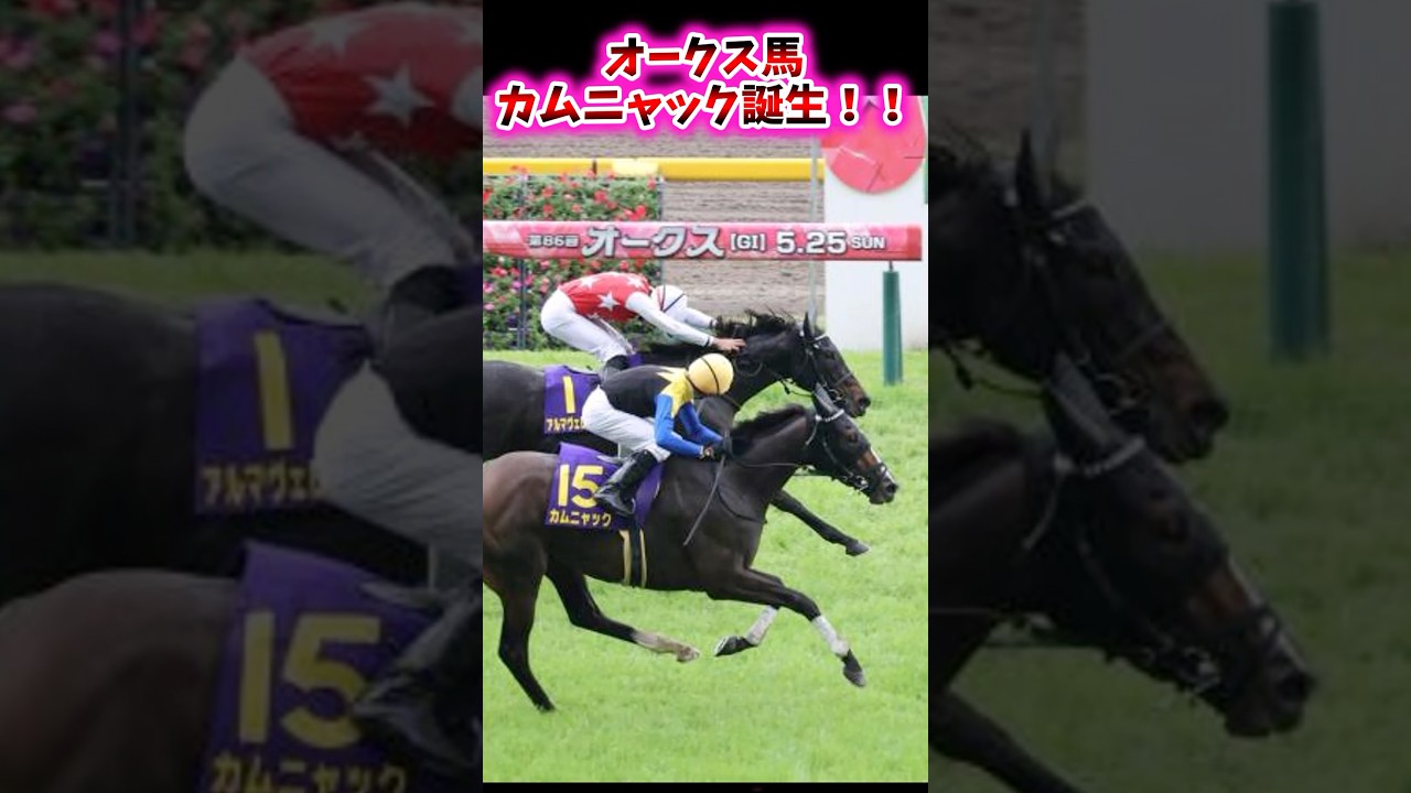 オークス馬カムニャック誕生！！【競馬反応集】 #カムニャック #オークス