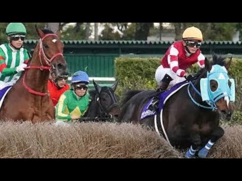 2020〜2024中山グランドジャンプ(J・G1)直線のみダイジェスト！#競馬#中山競馬#中山グランドジャンプ#障害レース#石神深一#jra#騎手#オジュウチョウサン#メイショウダッサイ#黒岩悠#馬