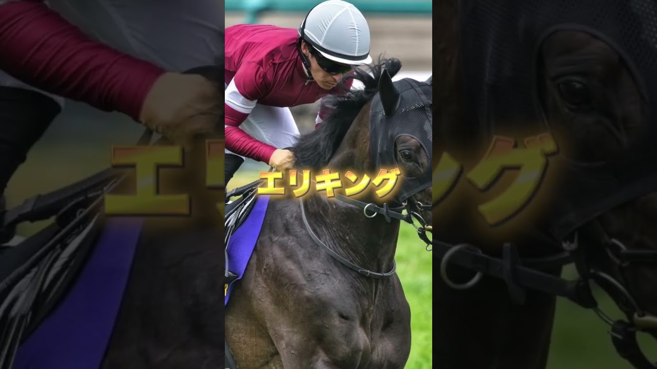 G1日本ダービーの穴馬を３頭紹介＃競馬＃競馬予想＃東京優駿＃ファンダム＃エリキング＃ファイアンクランツ
