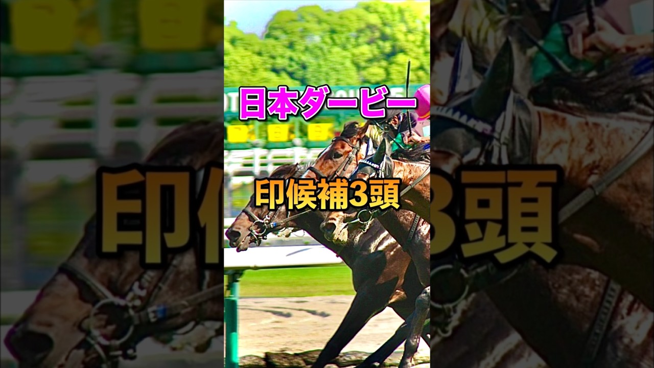 【日本ダービー2025】印候補3頭
