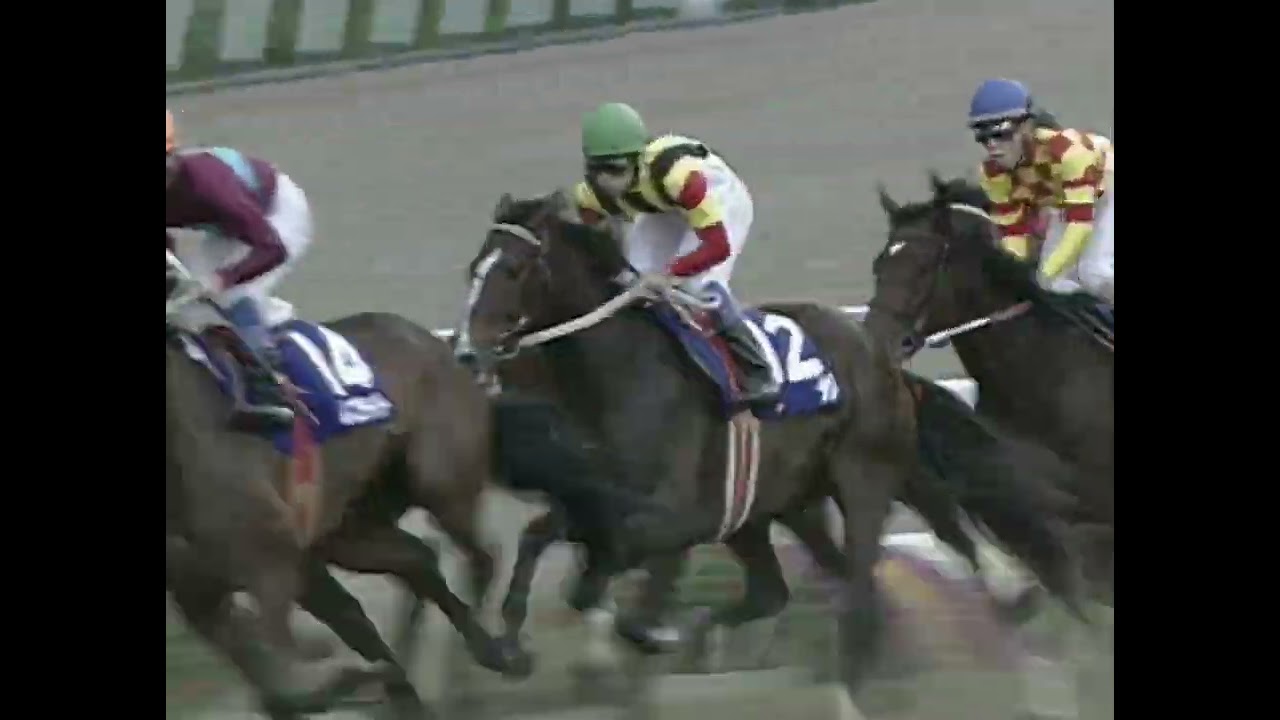 ノースフライト 1993年 第18回エリザベス女王杯(GI)  (優勝馬：ホクトベガ)