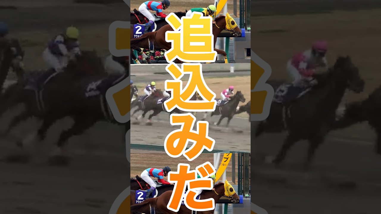 【本当の追込み】🫏サウンドトゥルー🫏チャンピオンズカップ2016年覇者#競馬 #思い出の名馬たち #チャンピオンズカップ #名馬紹介 #サウンドトゥルー#shorts #horse