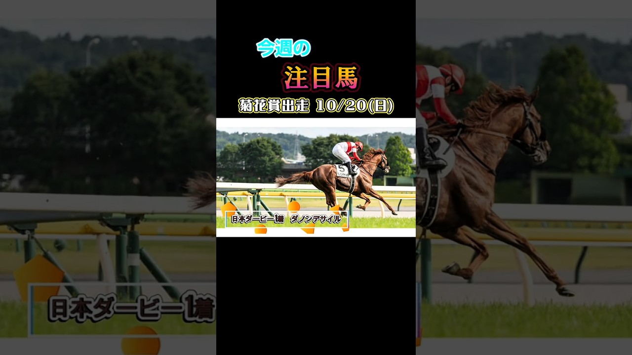 菊花賞出走 10/20（日5タノンンサイル日本ダービー1 ダノンデザイル#競馬 #競馬予想 #馬 #shorts