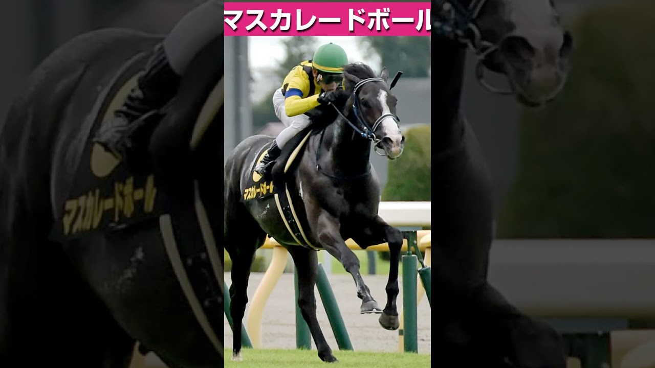 【日本ダービー2025】東京優駿日本ダービー人気の中心馬３頭 #競馬 #競馬予想 #中央競馬  #jra