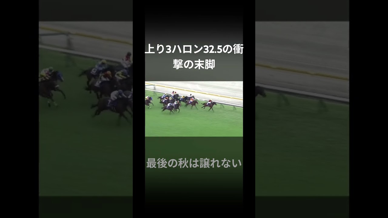 2024年天皇賞秋 #競馬 #ドウデュース