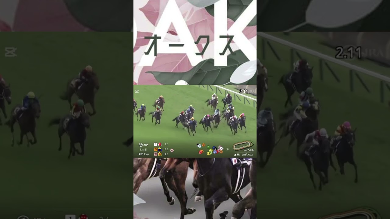 【GⅠ 優駿牝馬(オークス)】本命リンクスティップ！桜花賞のリベンジなるか！？　#競馬　#優駿牝馬　#オークス　#shorts #趣味 #趣味動画 #なっしーの日常 #中央競馬
