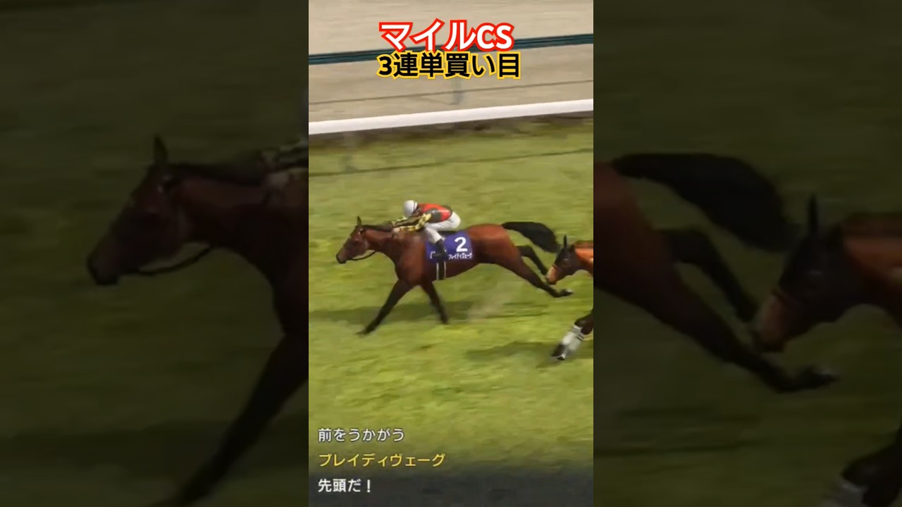 【2024マイルCS】3連単買い目発表！ #競馬 #マイルチャンピオンシップ #競馬予想 #ウマ娘
