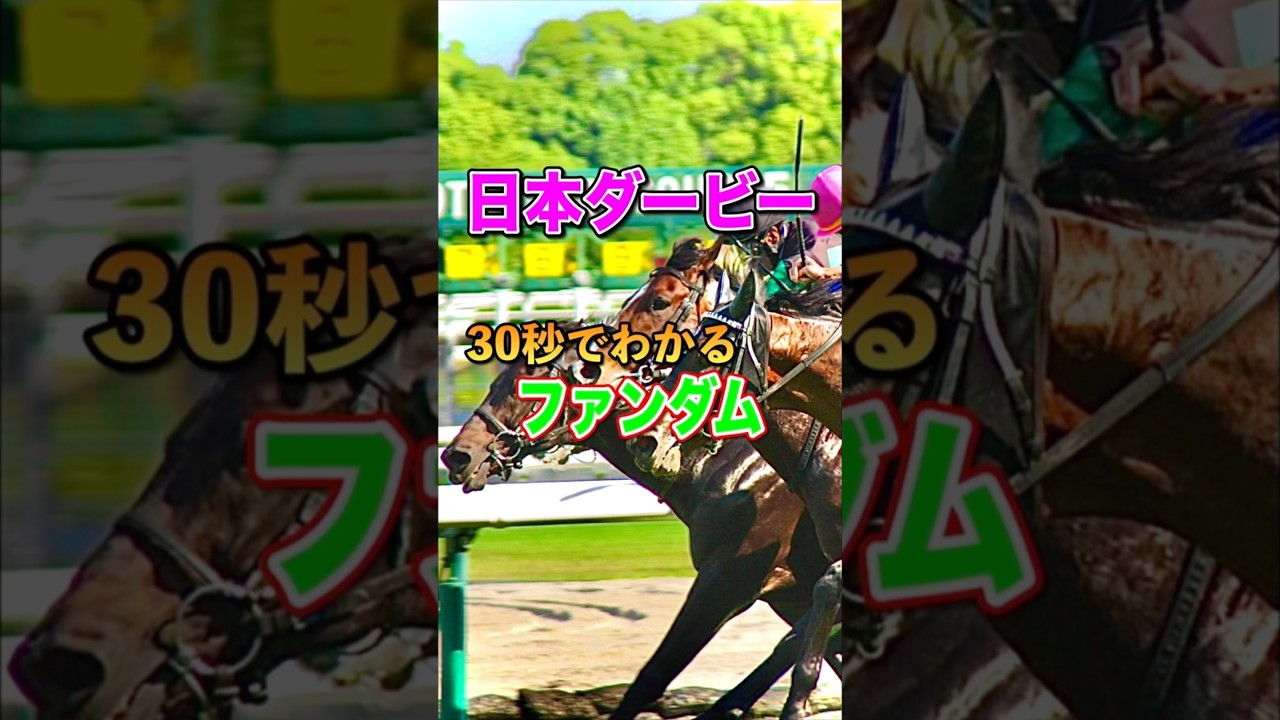 【日本ダービー2025】30秒でわかるファンダム