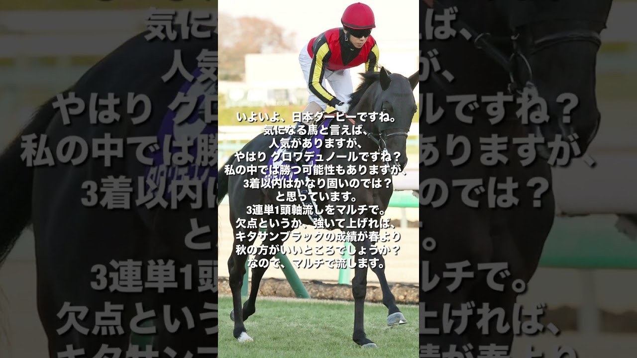 いよいよ、日本ダービーですね。気になる馬と言えば、人気がありますが、やはり クロワデュノールですね？ #日本ダービー #東京優駿 #ダービー #クロワデュノール #競馬 #東京競馬場 #気になる馬