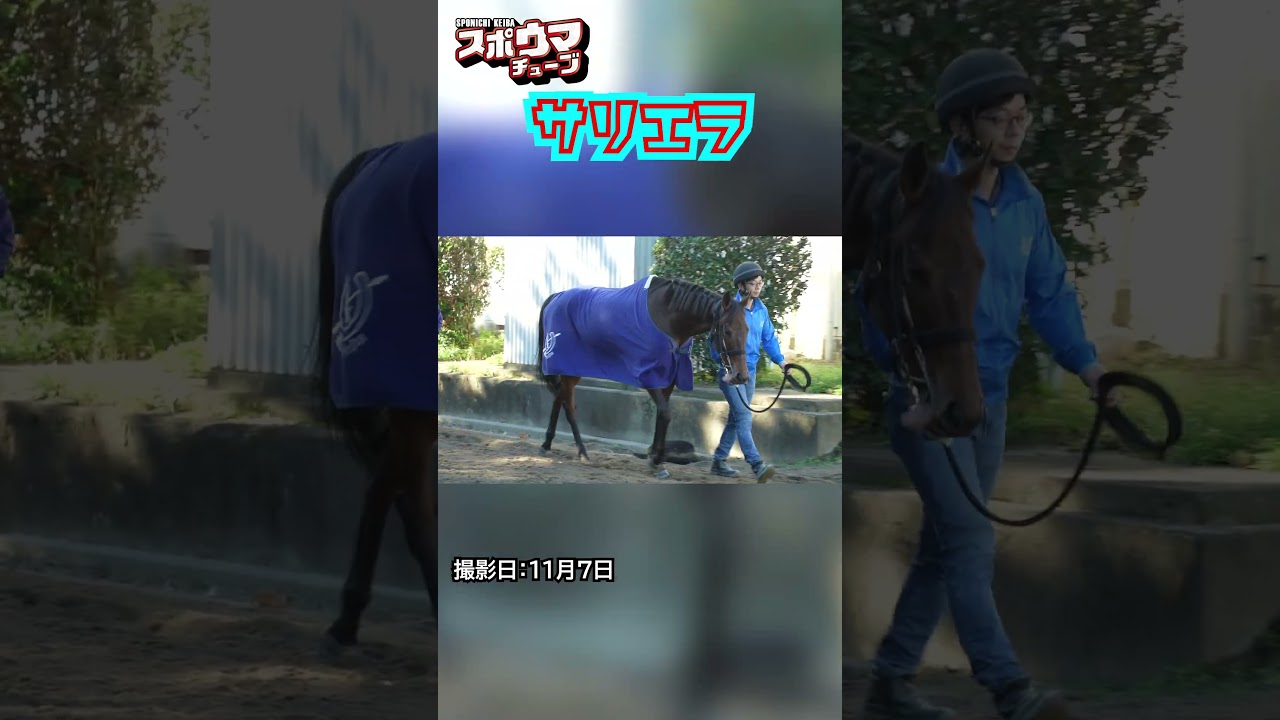 【エリザベス女王杯・出走予定】サリエラ 美浦での様子 #shorts