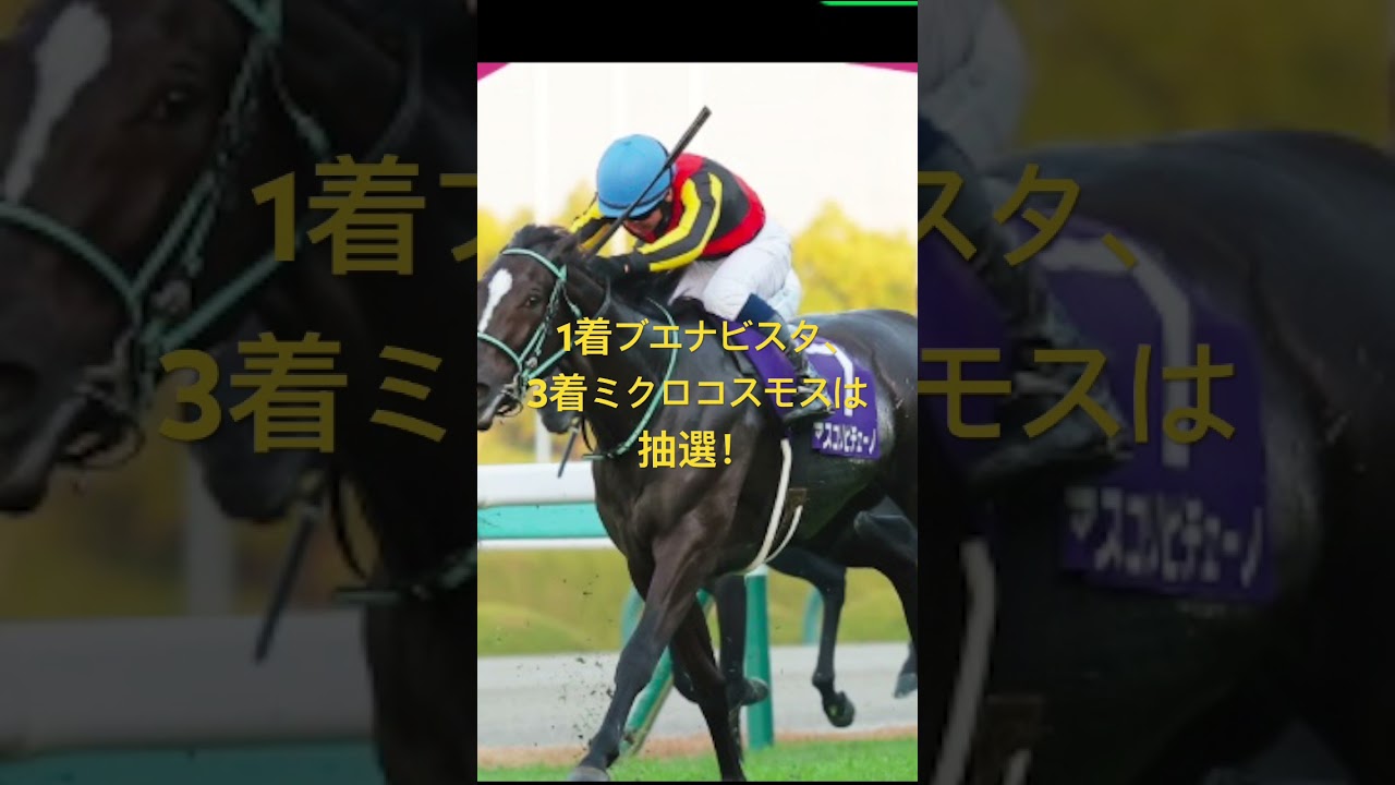 阪神ジュベナイルフィリーズ 2024 サイン馬券 最終考察！！ #阪神jf