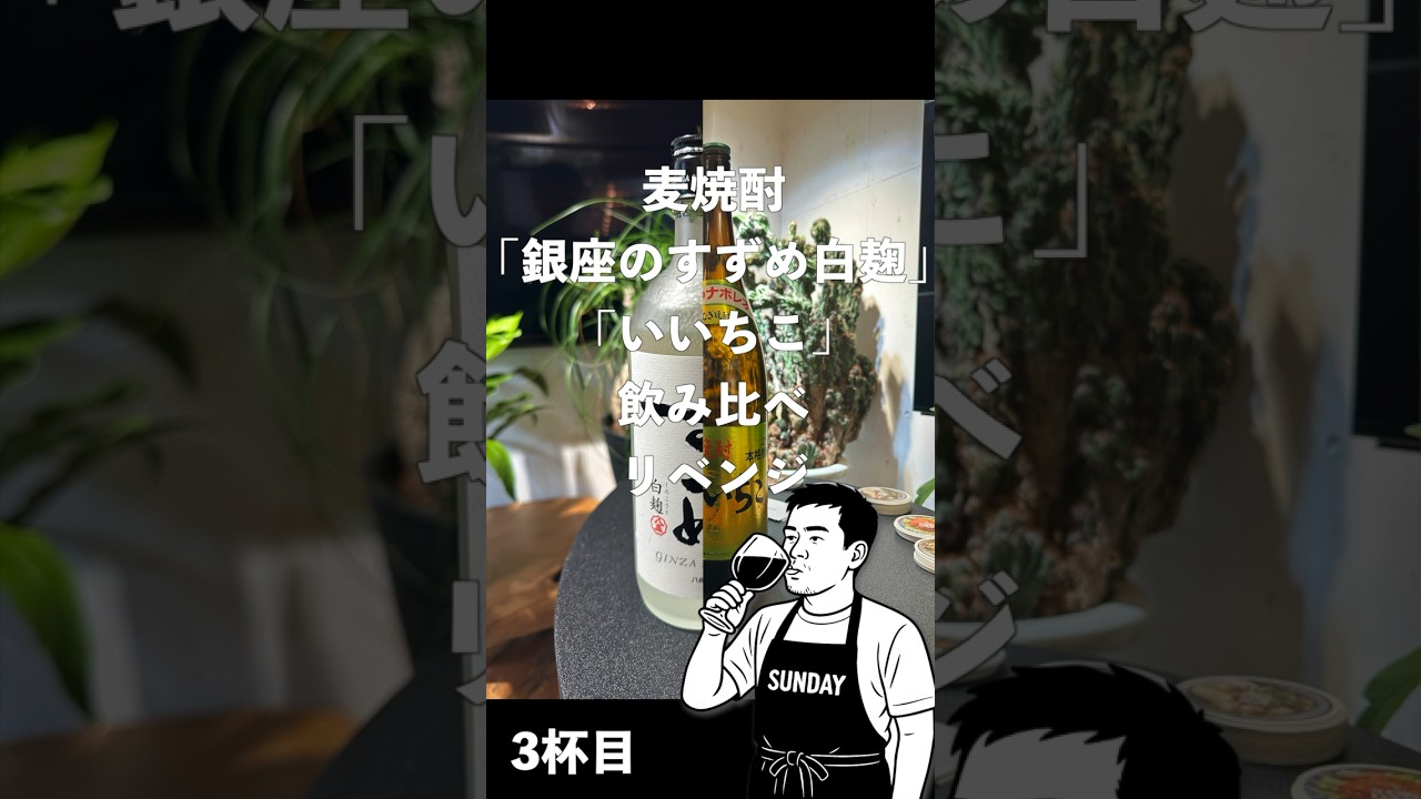お酒マスターへの道～3杯目～#酒#ビール#アルコール#焼酎#飲み会#チューハイ#サワー#カクテル