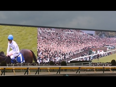 2024年 天皇賞・秋　東京競馬場を堪能してきました　ドウデュースが復活