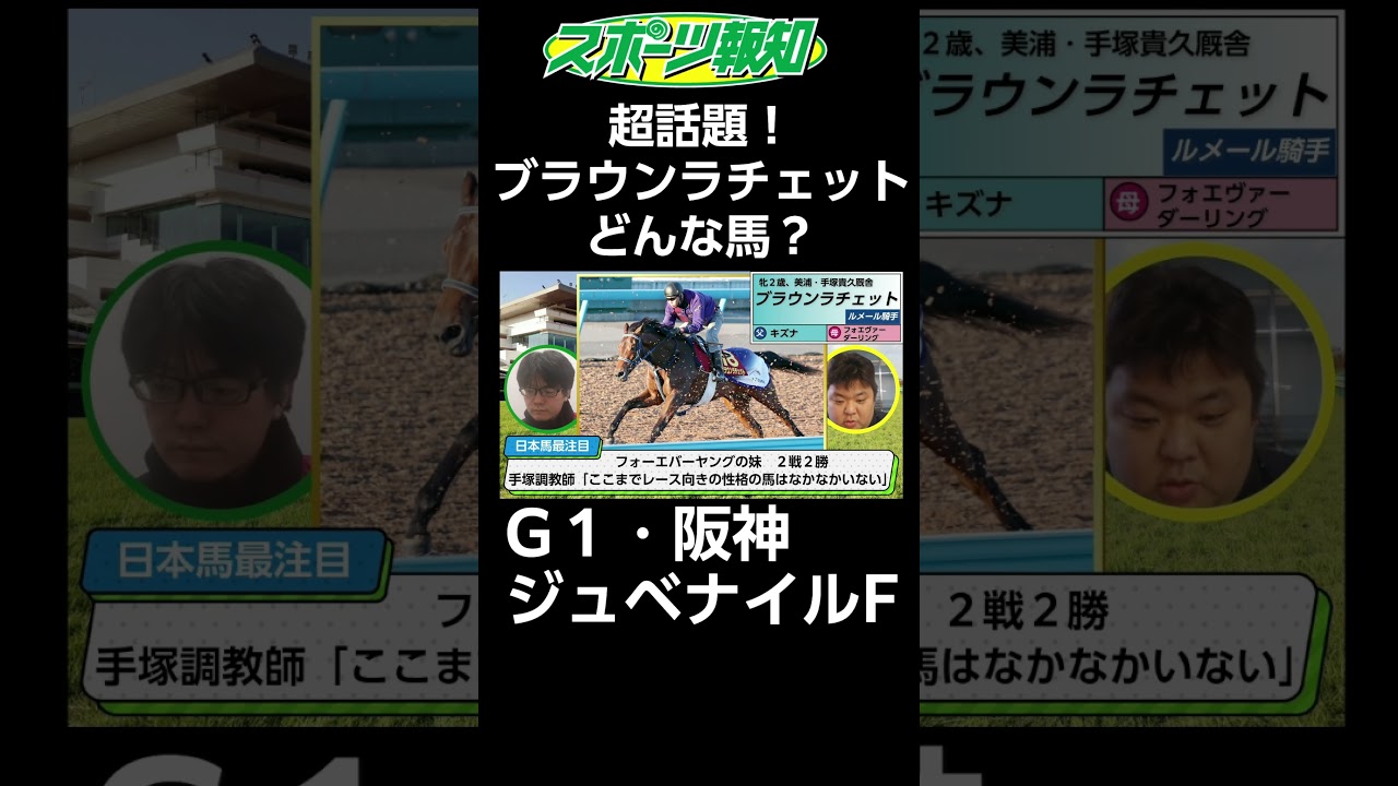 【阪神ジュベナイルフィリーズ2024】20秒で解説！フォーエバーヤングの妹ブラウンラチェットってどんな馬？