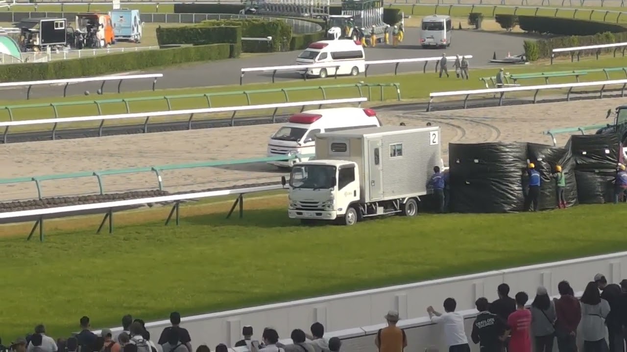 2025中山グランドジャンプファンファーレから表彰式　スマートシートから#中山グランドジャンプ　#競馬　#障害レース　#