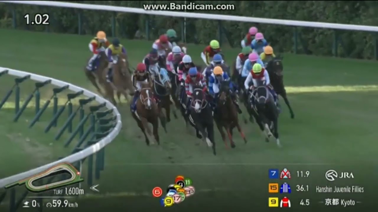 2024 阪神ジュベナイルフィリーズ (GⅠ)　アルマヴェローチェ