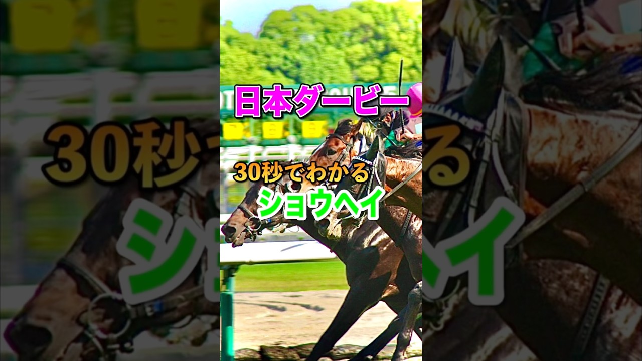 【日本ダービー2025】30秒でわかるショウヘイ