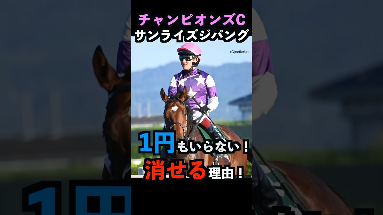 【チャンピオンズカップ2024】1円もいらない！サンライズジパングを消せる理由！#サンライズジパング #チャンピオンズカップ2024  #競馬予想 #武豊 #shorts