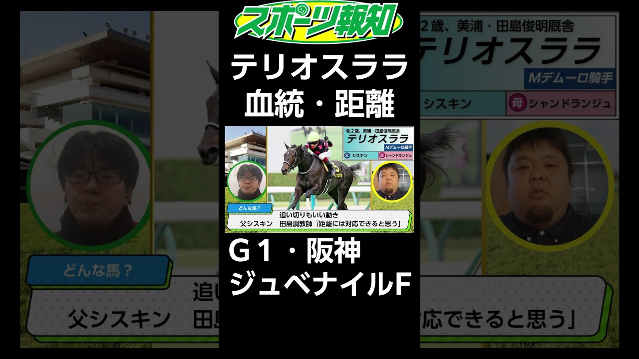 【阪神ジュベナイルフィリーズ2024】テリオスララの血統、距離適性は？