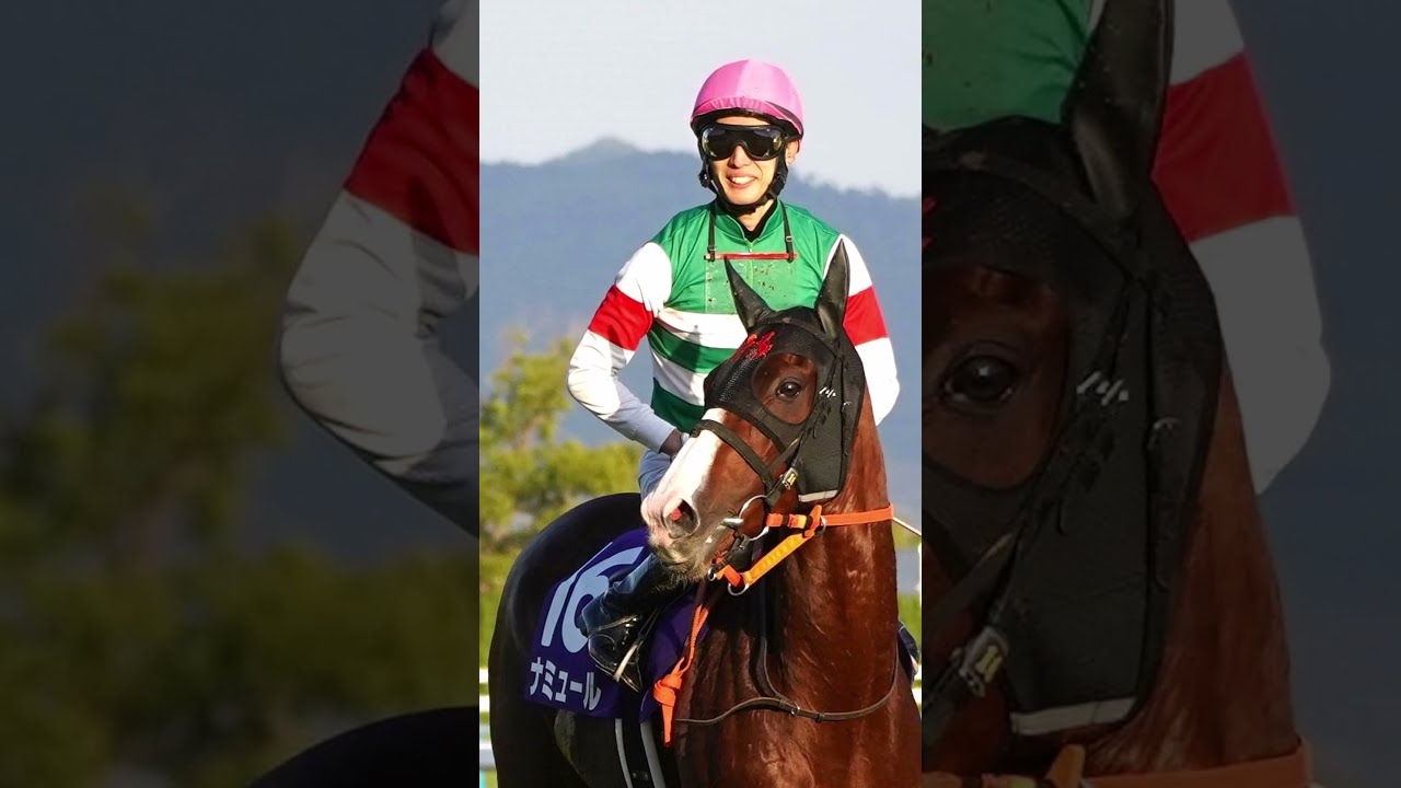 「ナミュールと藤岡康太が魅せた 伝説のマイルCS」#shorts #競馬 #jra #マイルチャンピオンシップ #マイルcs #ナミュール #藤岡康太