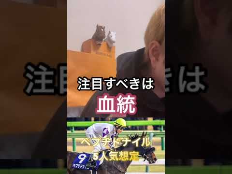 チャンピオンズカップ注目馬④ペプチドナイル#チャンピオンズカップ#チャンピオンズC#ペプチドナイル