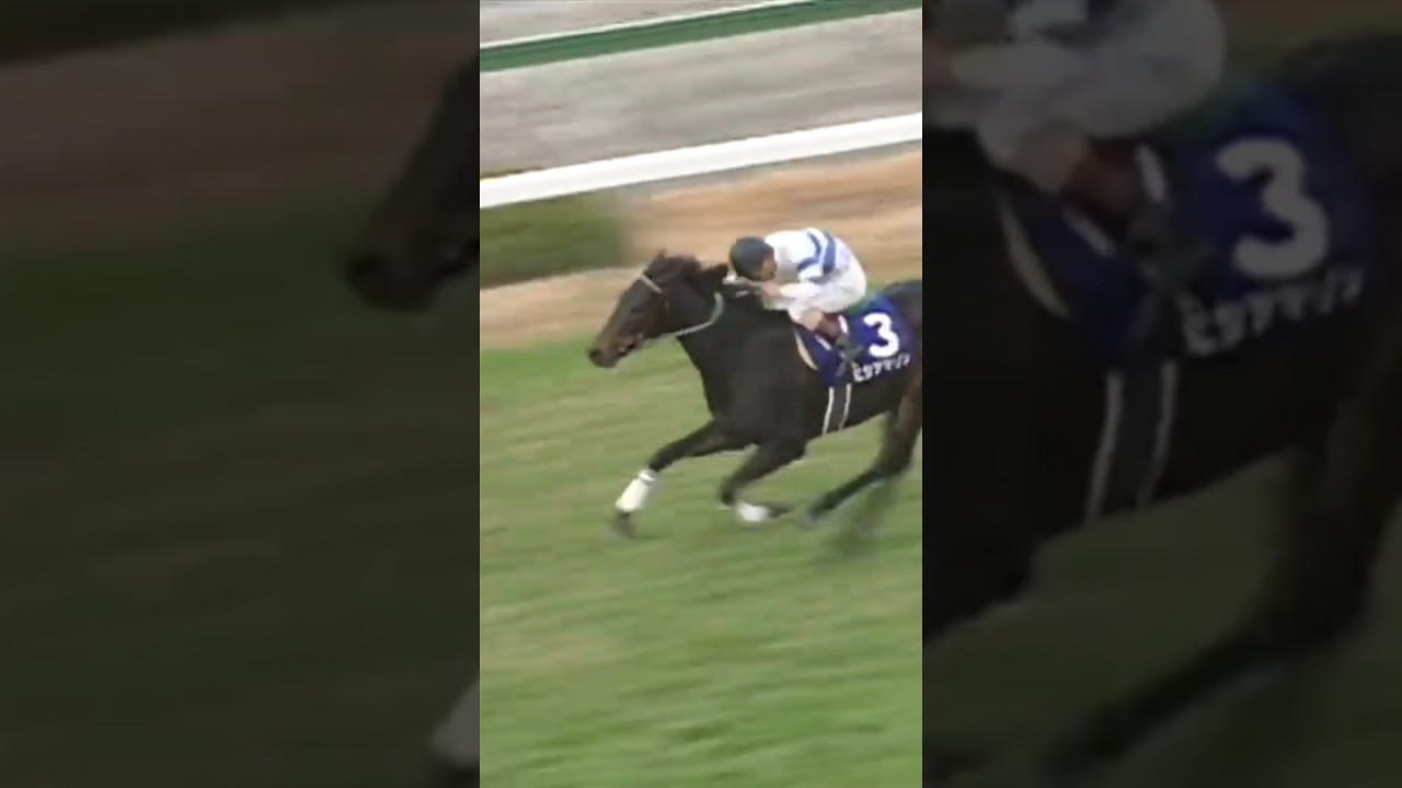 #shorts 1993 阪神3歳牝馬ステークス（阪神ジュベナイルフィリーズ） #ヒシアマゾン #中舘英二