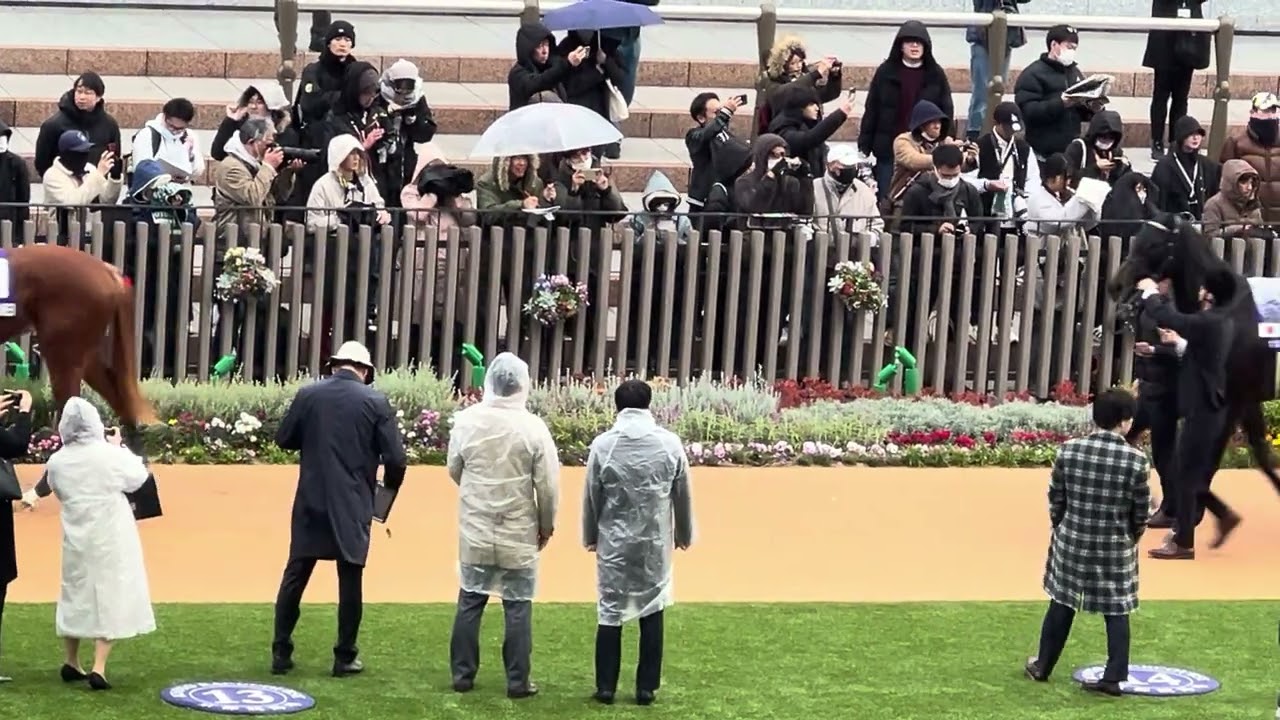 阪神JFパドック